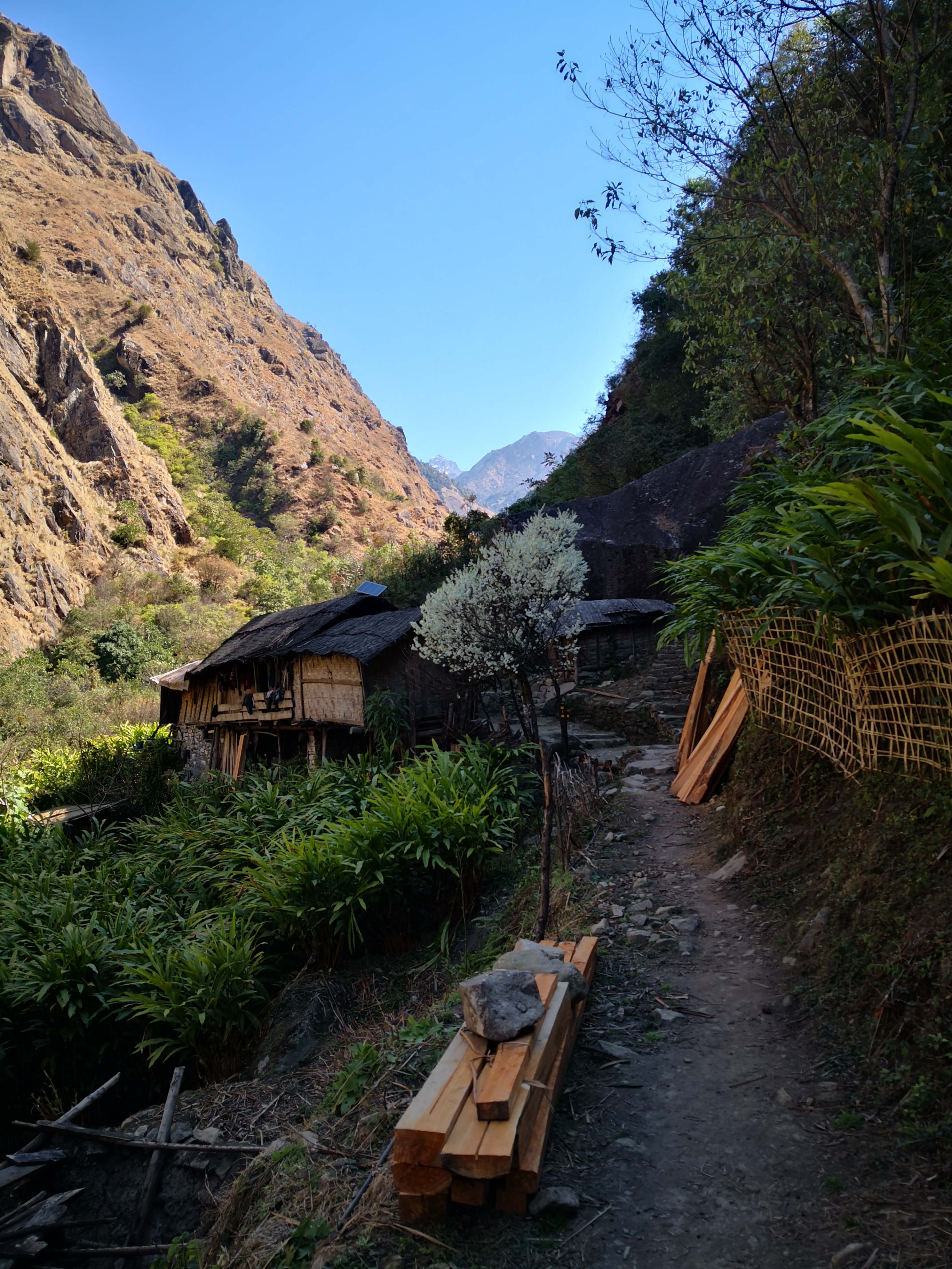 Drive to Taplejung and Sekathum - 1,650 m
