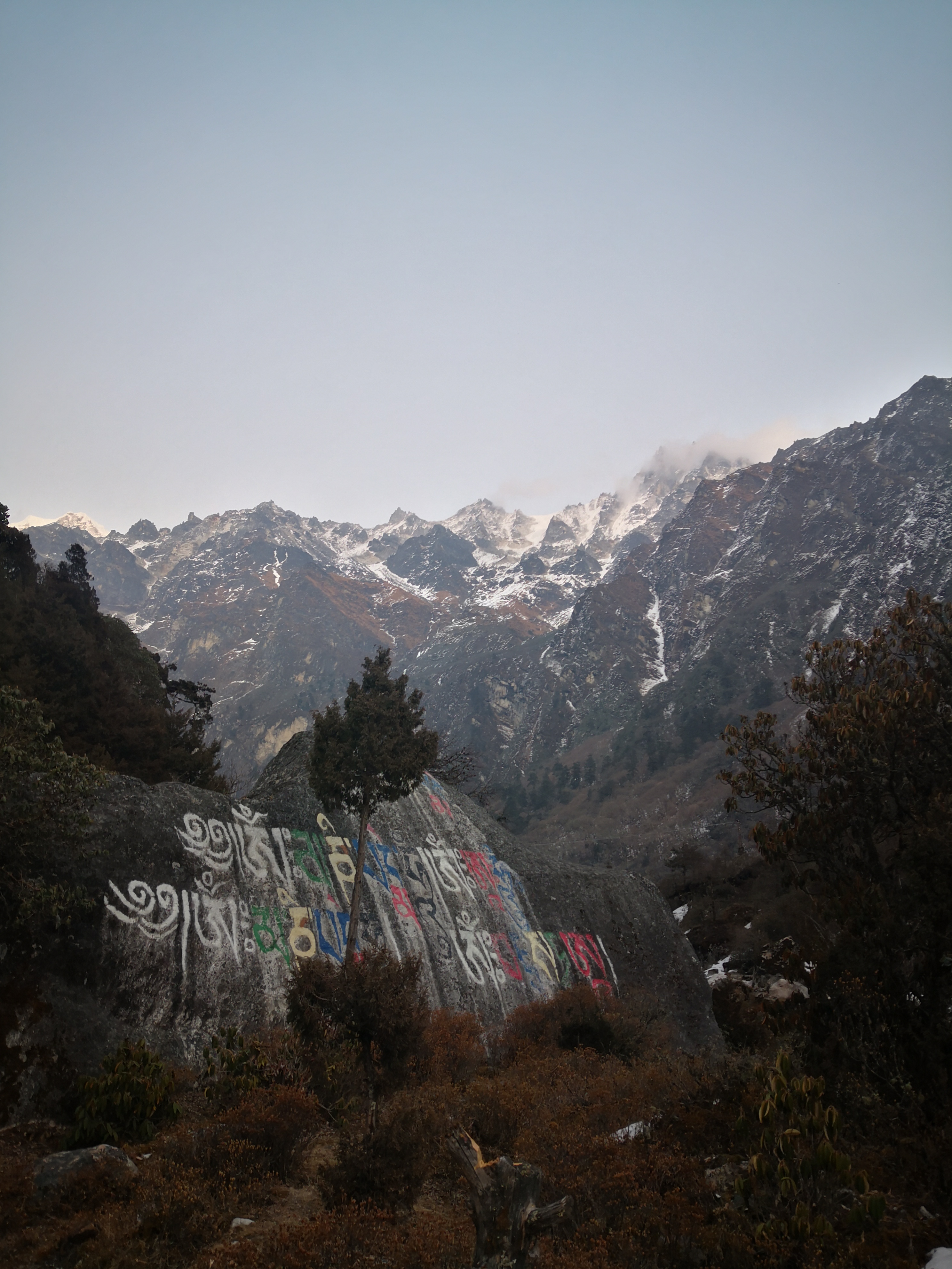 Ghunsa to Sele Le camp - 4,240 m