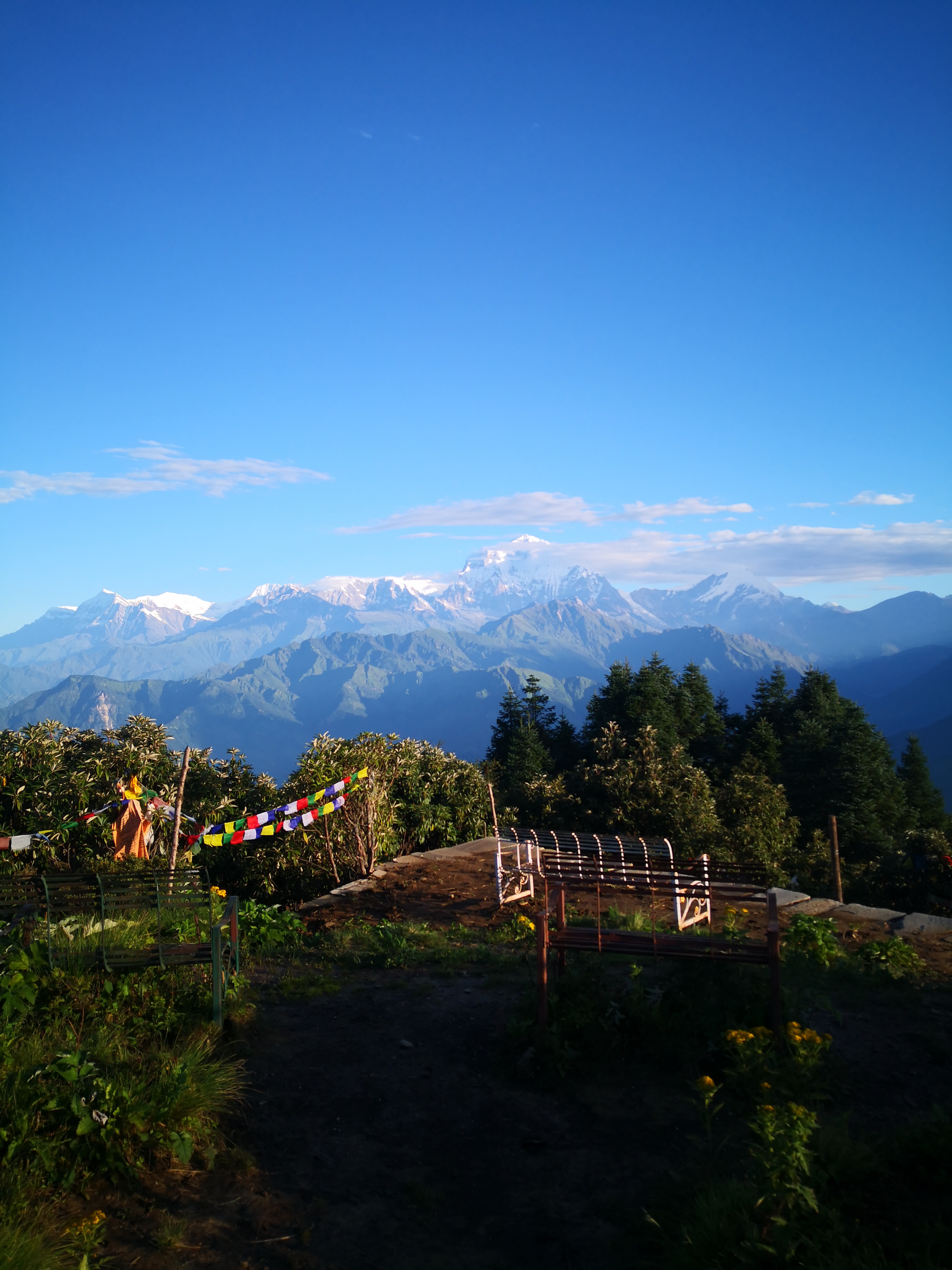 Ulleri to ghorepani - 2,870 m