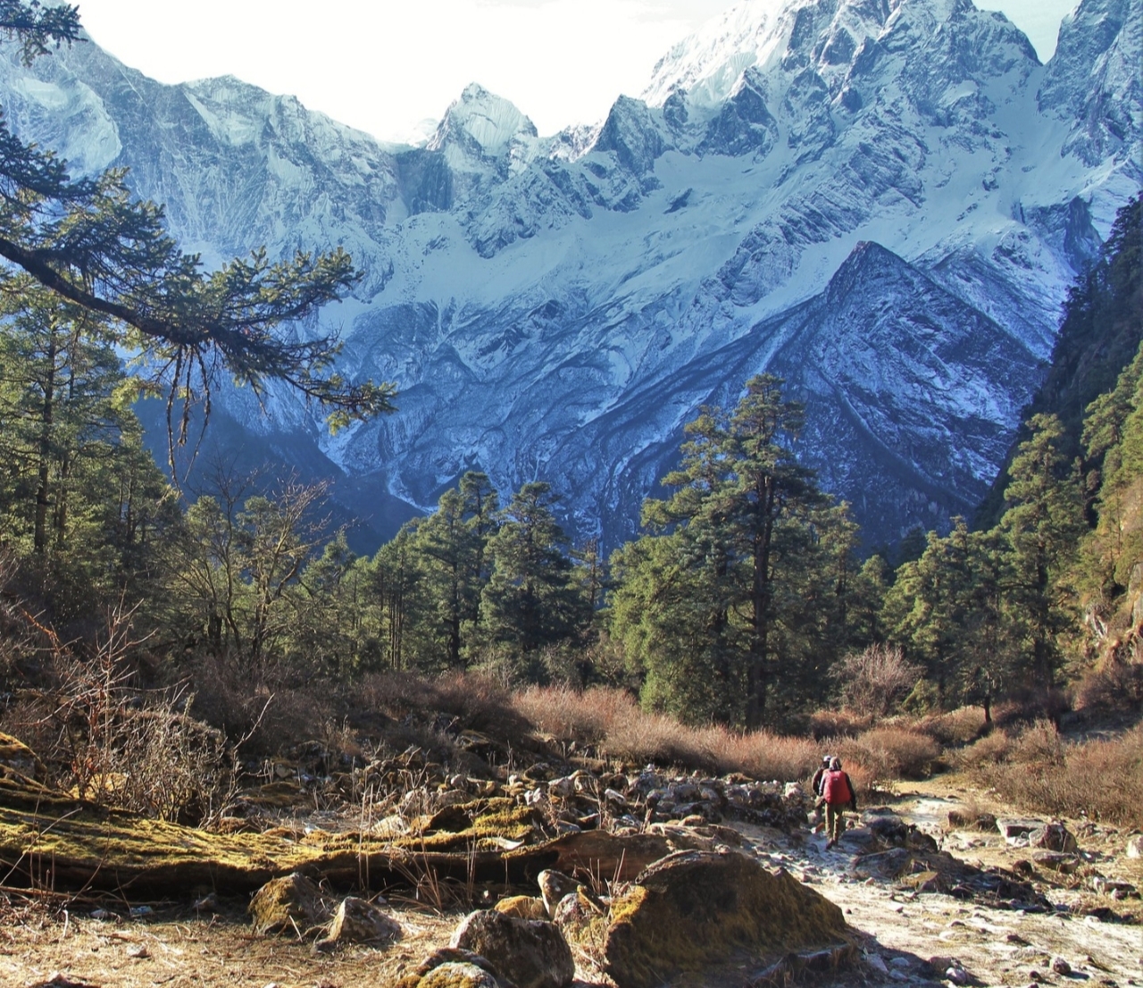Bimthang to gowa - 2,500 m
