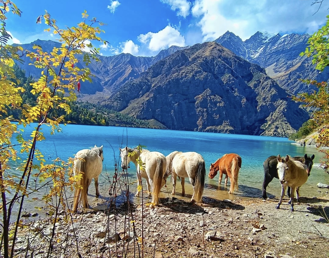 Dajok Tang to Phoksundo Lake - 3,611 m