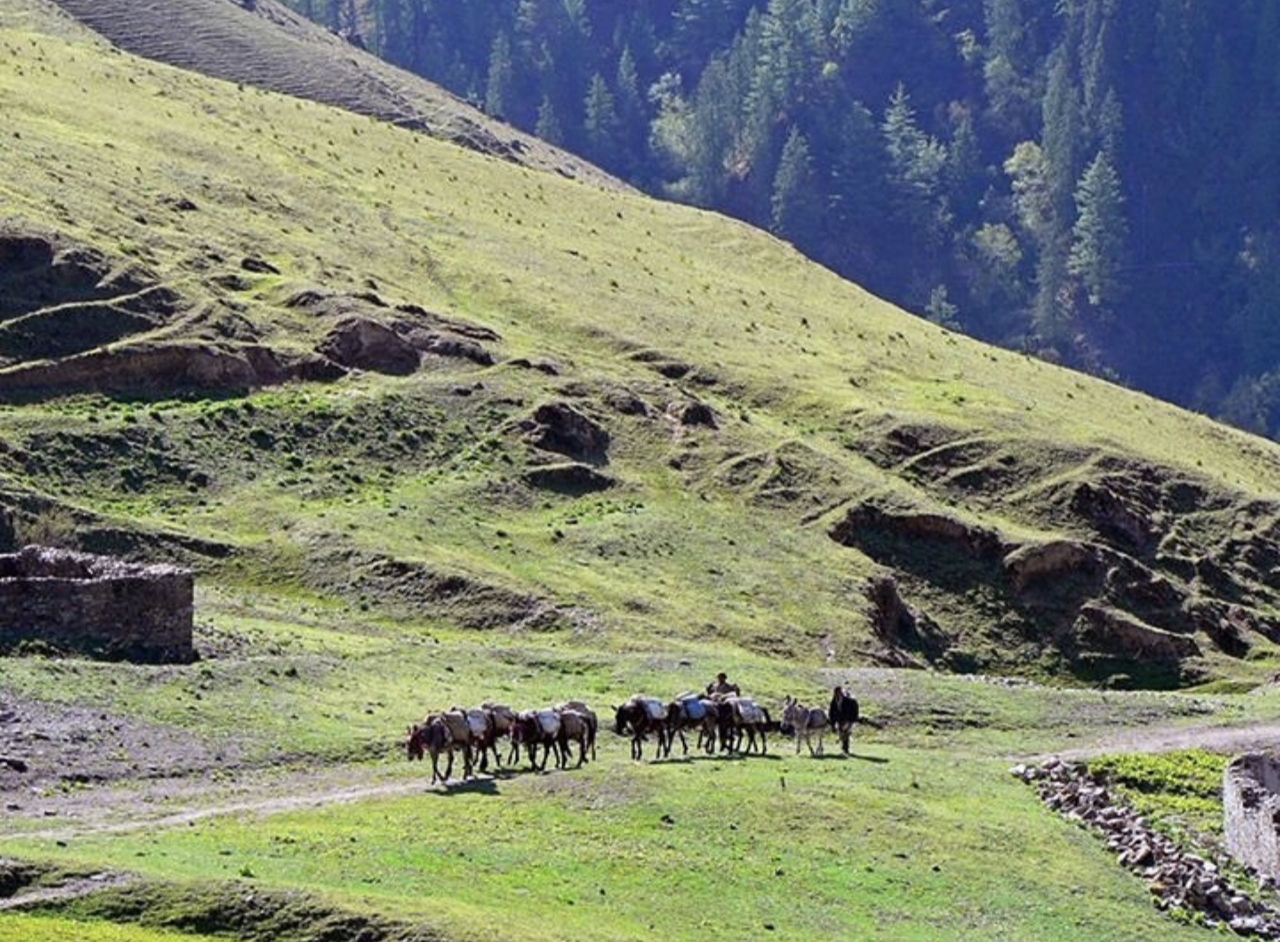 Chhepka to Juphal - 2,475 m