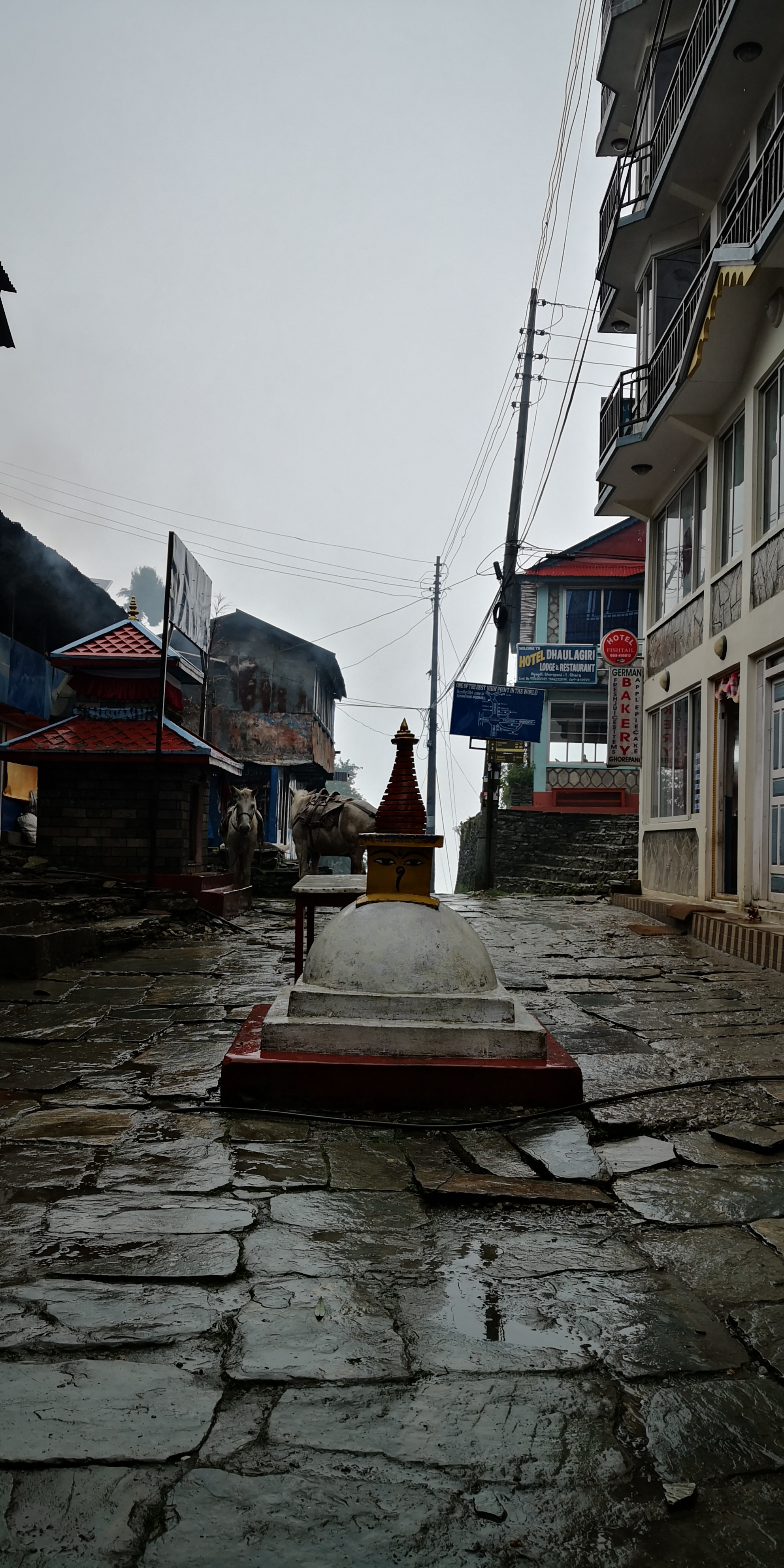 Ghorepani poon hill - photo 1